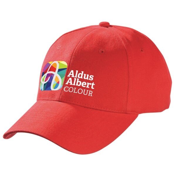 Heavy Brushed Cotton Cap - Image 4